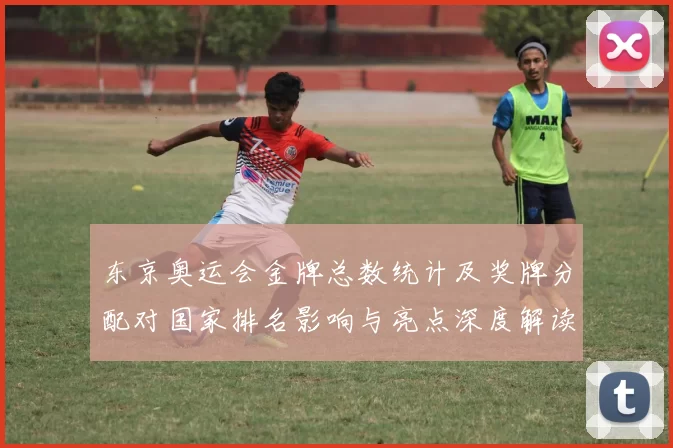 东京奥运会金牌总数统计及奖牌分配对国家排名影响与亮点深度解读