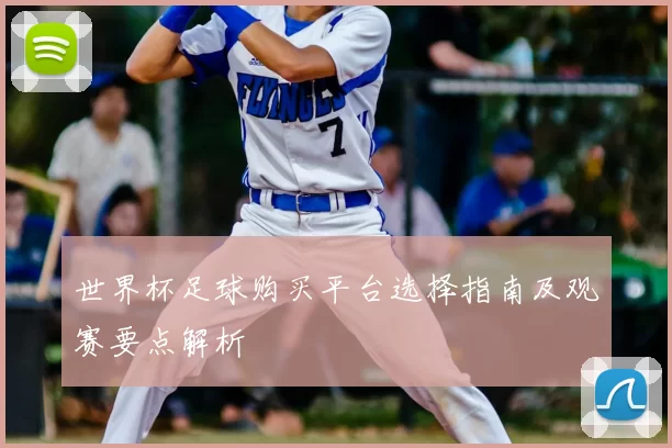 世界杯足球购买平台选择指南及观赛要点解析