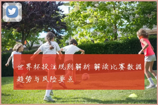 世界杯投注规则解析 解读比赛数据趋势与风险要点