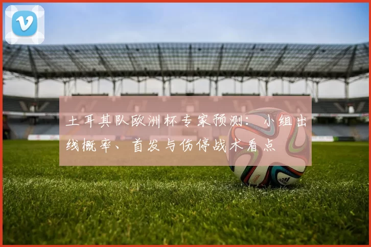 土耳其队欧洲杯专家预测：小组出线概率、首发与伤停战术看点