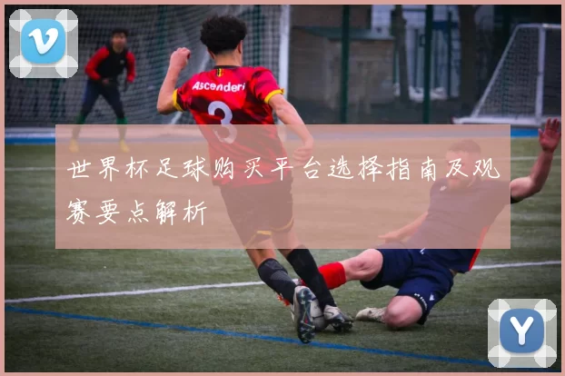 世界杯足球购买平台选择指南及观赛要点解析