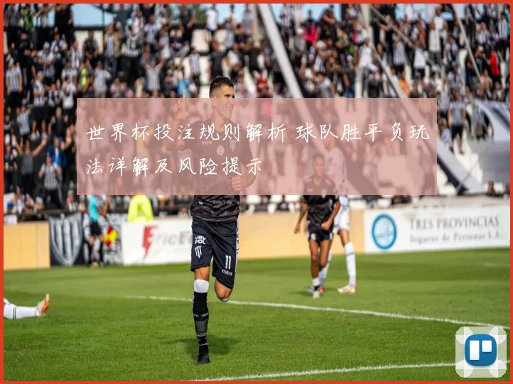 世界杯投注规则解析 球队胜平负玩法详解及风险提示