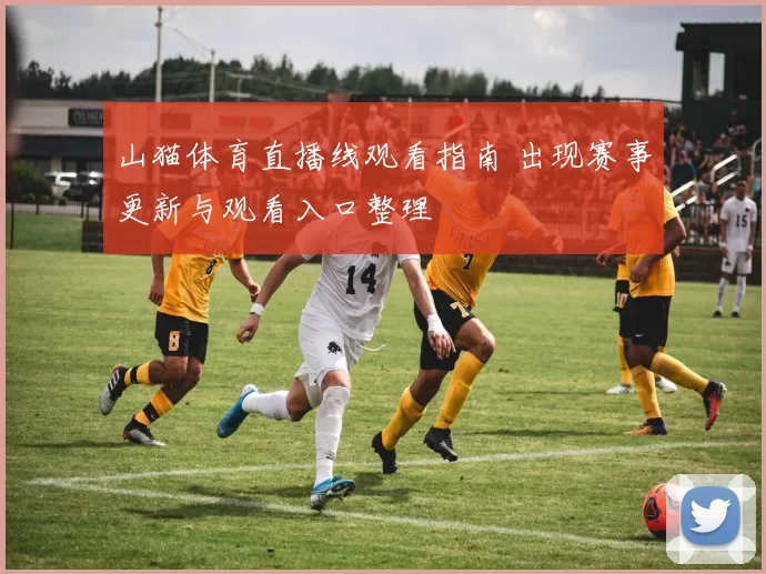 山猫体育直播线观看指南 出现赛事更新与观看入口整理