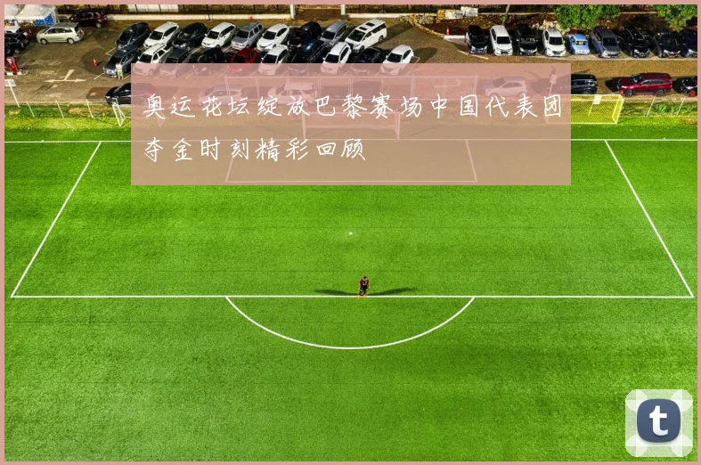 奥运花坛绽放巴黎赛场中国代表团夺金时刻精彩回顾