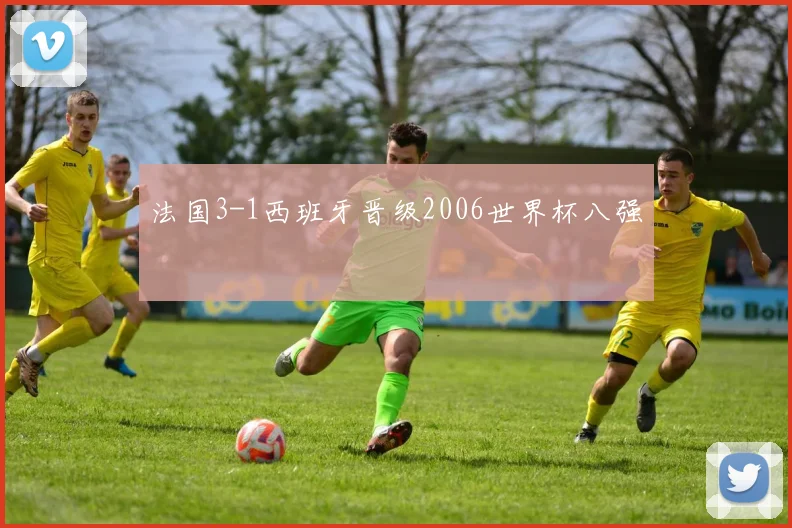 法国3-1西班牙晋级2006世界杯八强